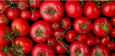 Tomate Padureanca
