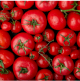 Tomate Padureanca